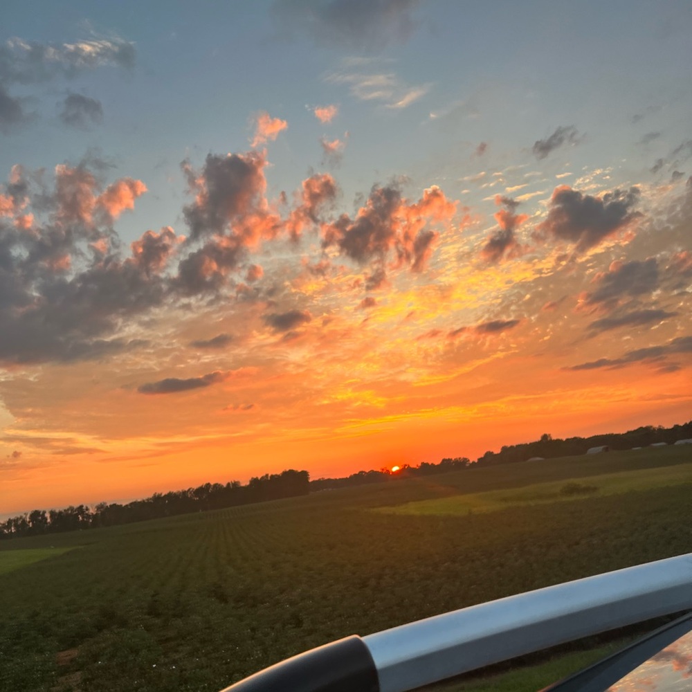 Meet your Posher, Carmen